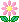kwiatek